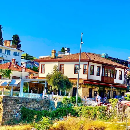 Ulivo * אנטליה
