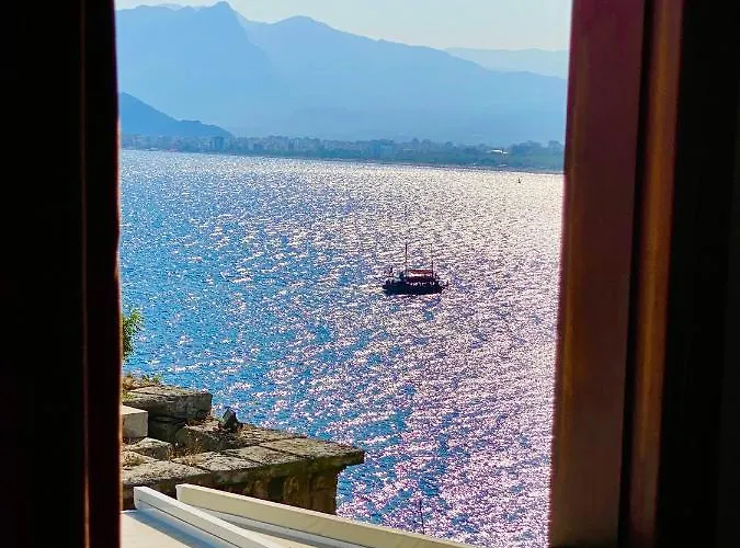 Ulivo * Antalya