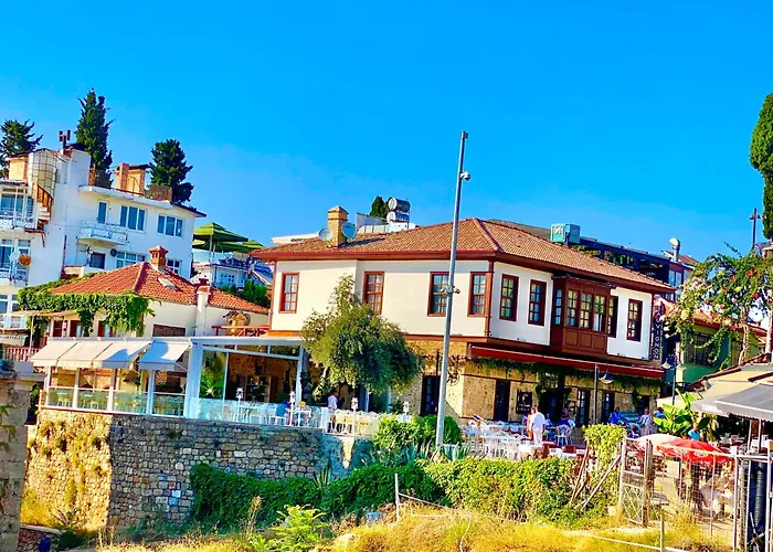 Ulivo * Antalya