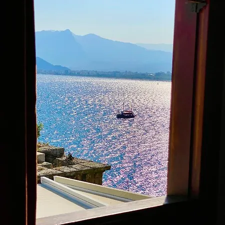 Ulivo * Antalya