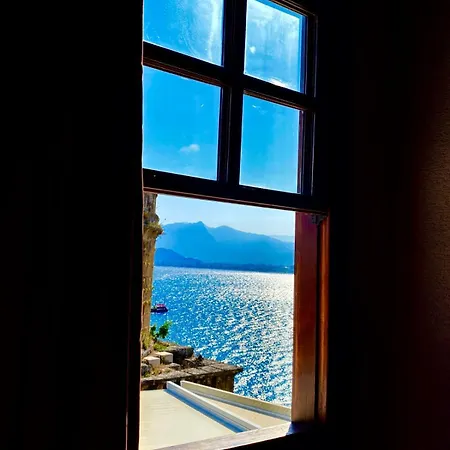 Ulivo * Antalya